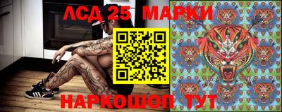 PSILOCYBIN Обнинск