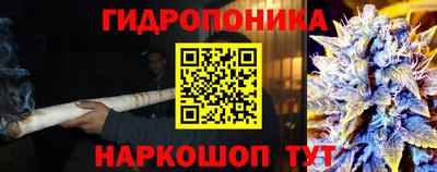PSILOCYBIN Обнинск