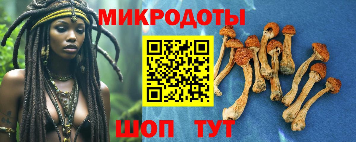 Тавда  Галлюциногенные грибы мухоморы  хочу наркоту  Вход с VPN 