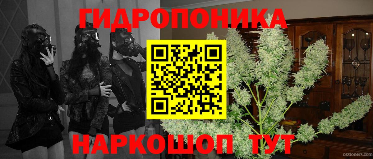 Конопля THC 21%  Каннабис семена  Вход с VPN  Тавда 